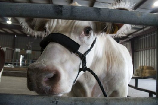 Who couldn't love this guy?