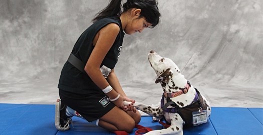 potential-2013-01-hero-therapy-dogs