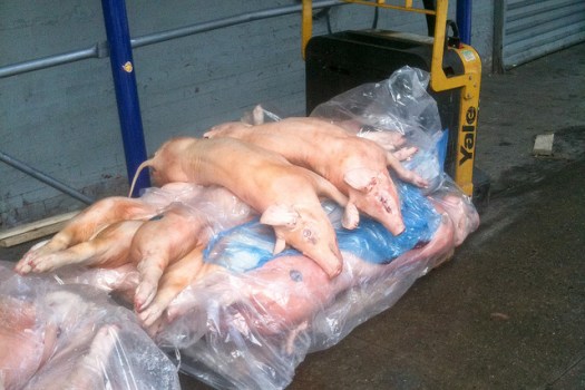 Sorry, this is so gross, but it's what came up when I searched 'bag on sidewalk.'