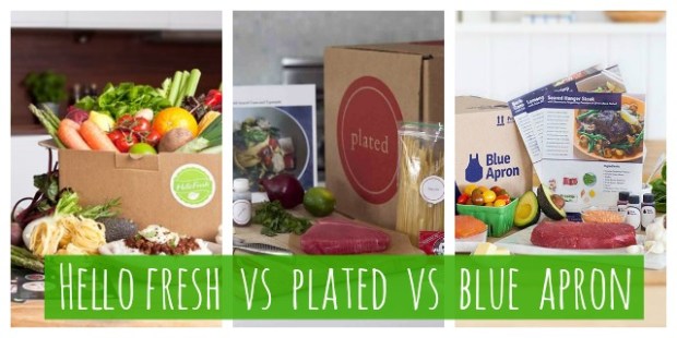 Review: Hello Fresh vs Plated vs Blue Apron – RLB Ink.