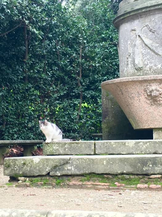 More gardens, more cats