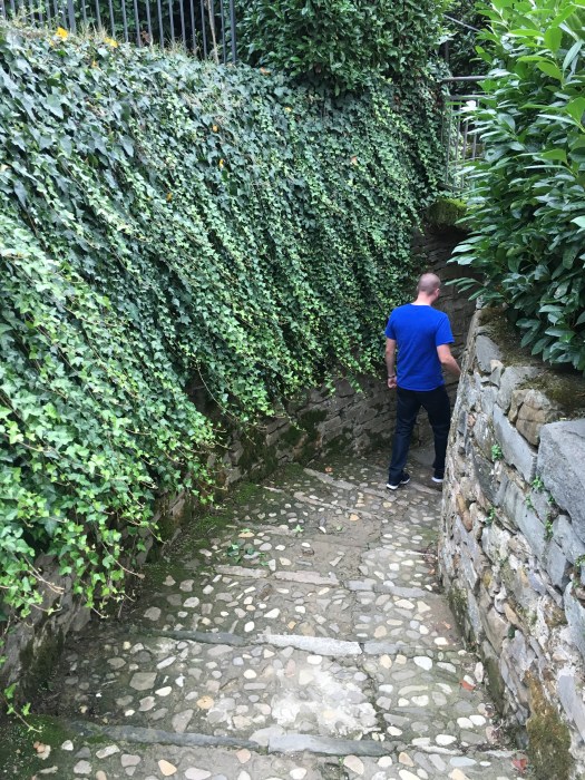 Steve wandering through the maze