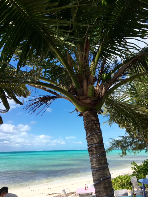 Grace Bay Providenciales Turks & Caicos review